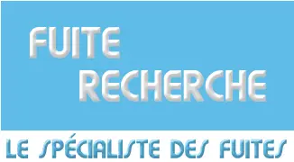 Réparation d'une fuite apparente en fosse compteur après compteur